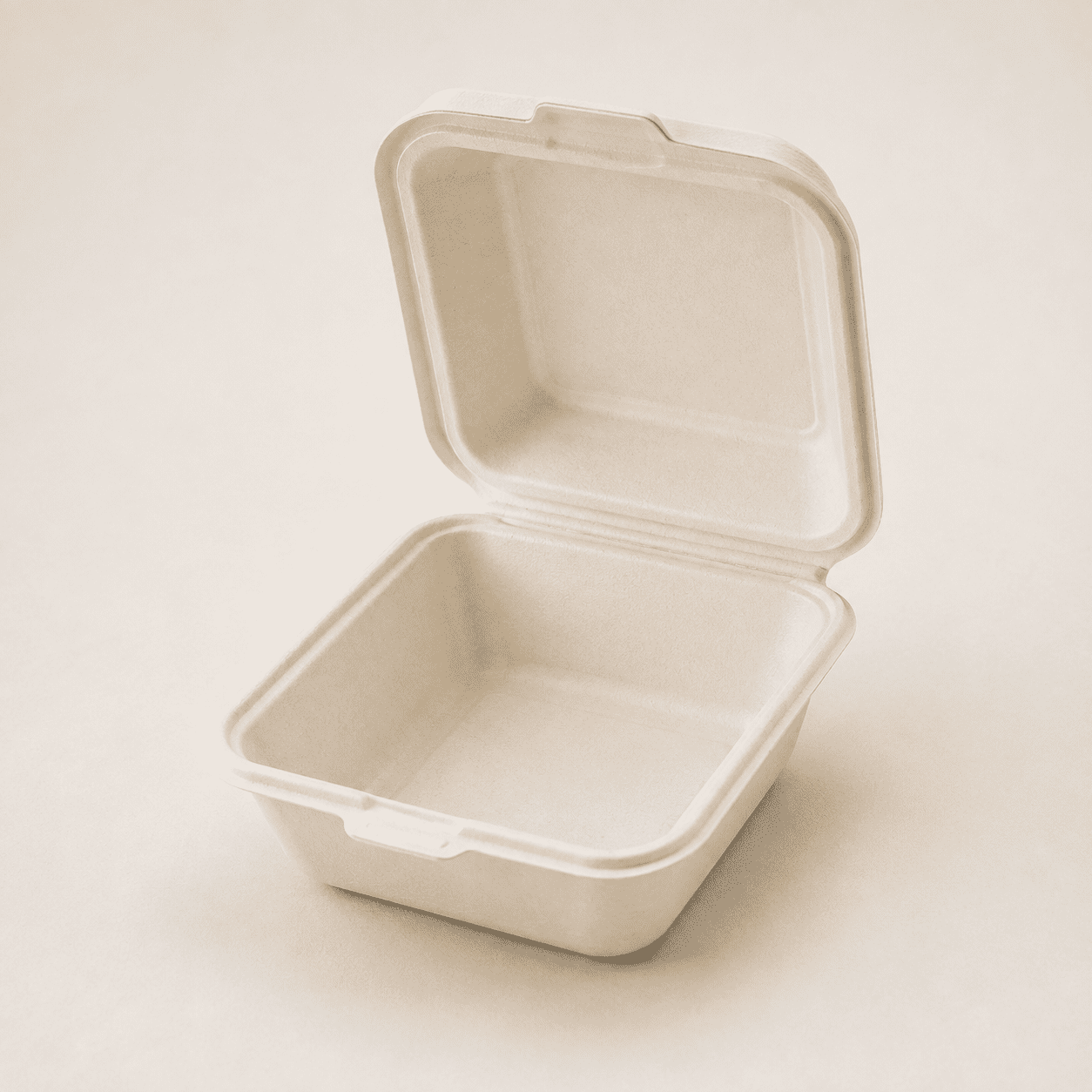 Hp6 250pk (BAGASSE) - Image 1