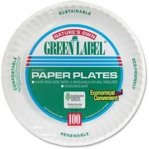 9" PAPER PLATE 100PK - Image 1