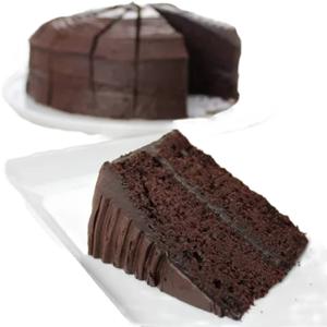 CHOCOLATE FUDGE CAKE 16PTN