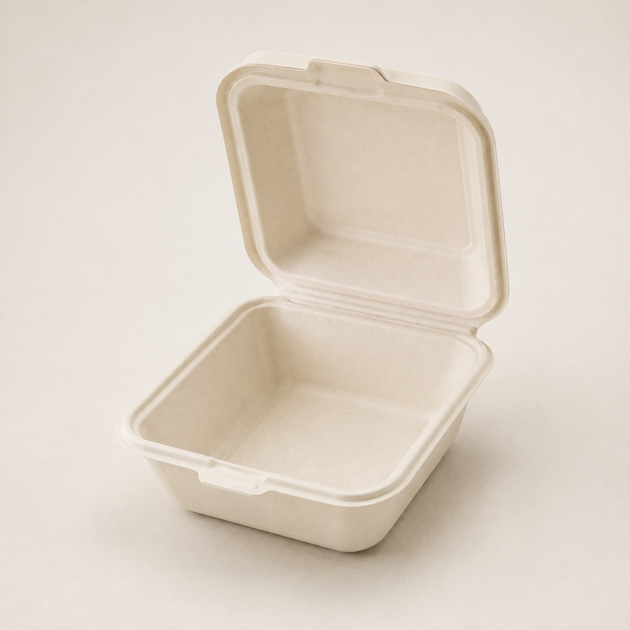 Hb6 250pk (BAGASSE) Hp6 250pk (BAGASSE) - Image 1